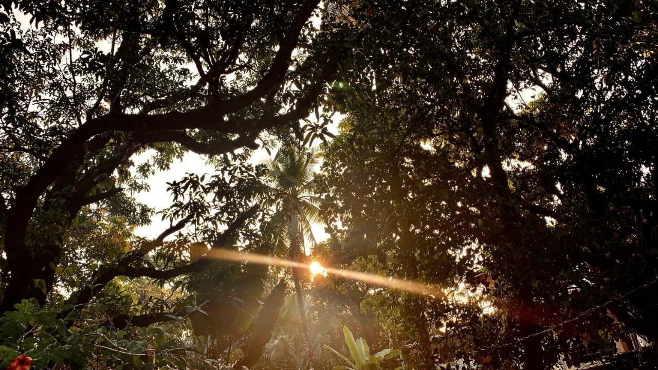 Stan-Inn, North Goa, Vagator, With Strong Wifi,Free Private Parking & Kitchen, Can Cook Where You Stay Buitenkant foto