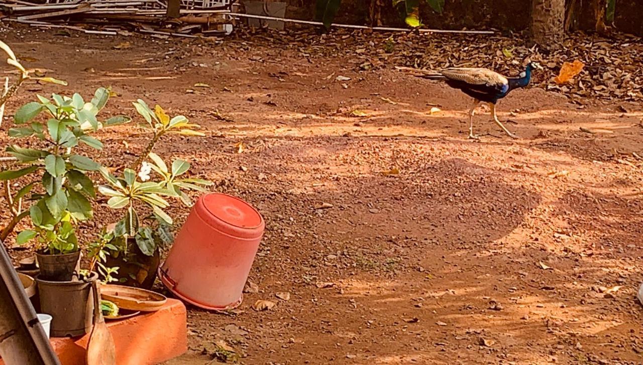 Stan-Inn, North Goa, Vagator, With Strong Wifi,Free Private Parking & Kitchen, Can Cook Where You Stay Buitenkant foto